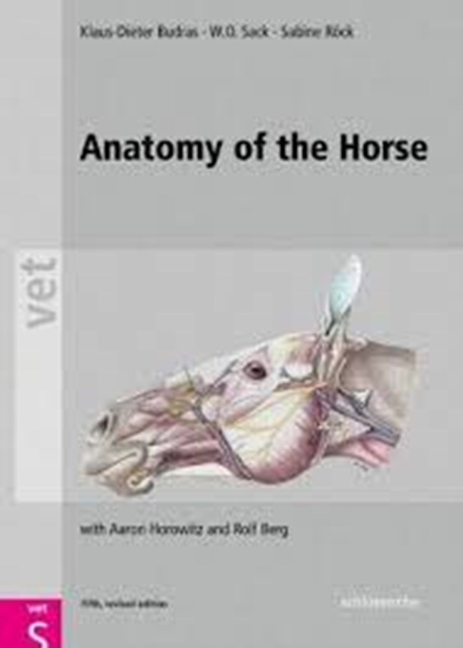 Anatomy of the Horse 5th ed.pdf