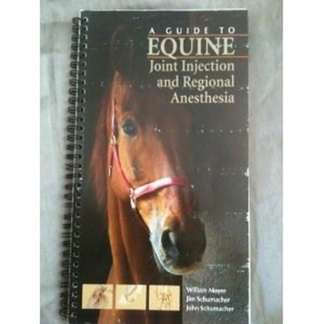 A Guide to Equine Joint Injection and Regional Anesthesia.pdf