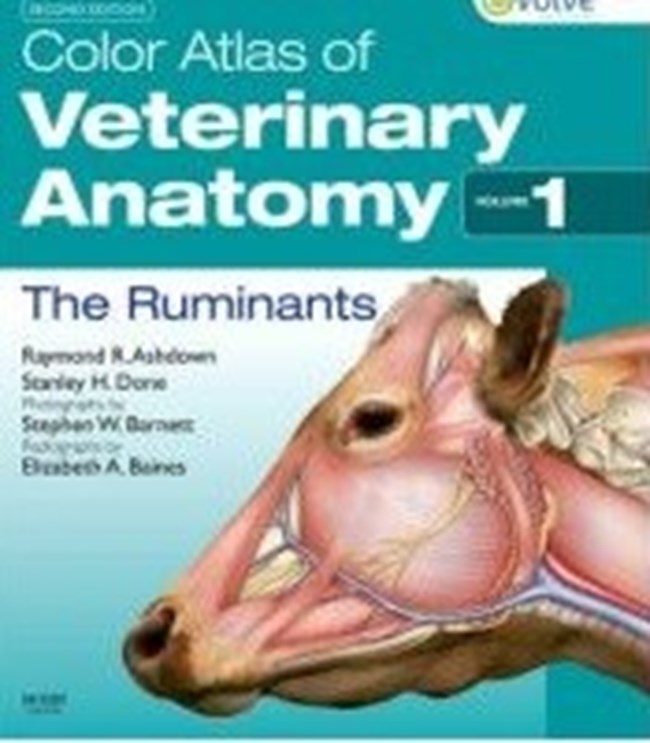 Atlas of Anatomy Veterinary.pdf