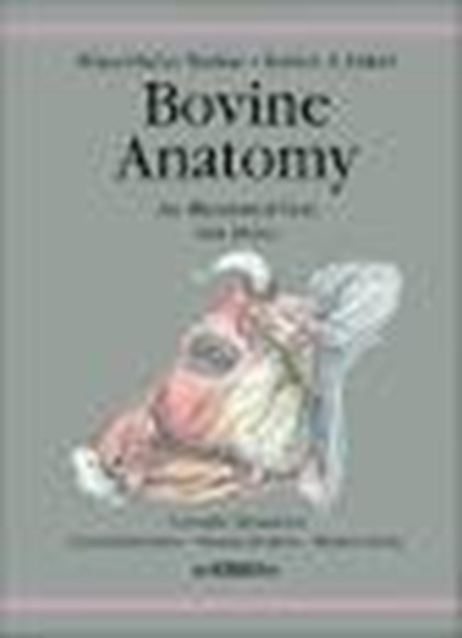 Bovine Anatomy An Illustrated Text.pdf