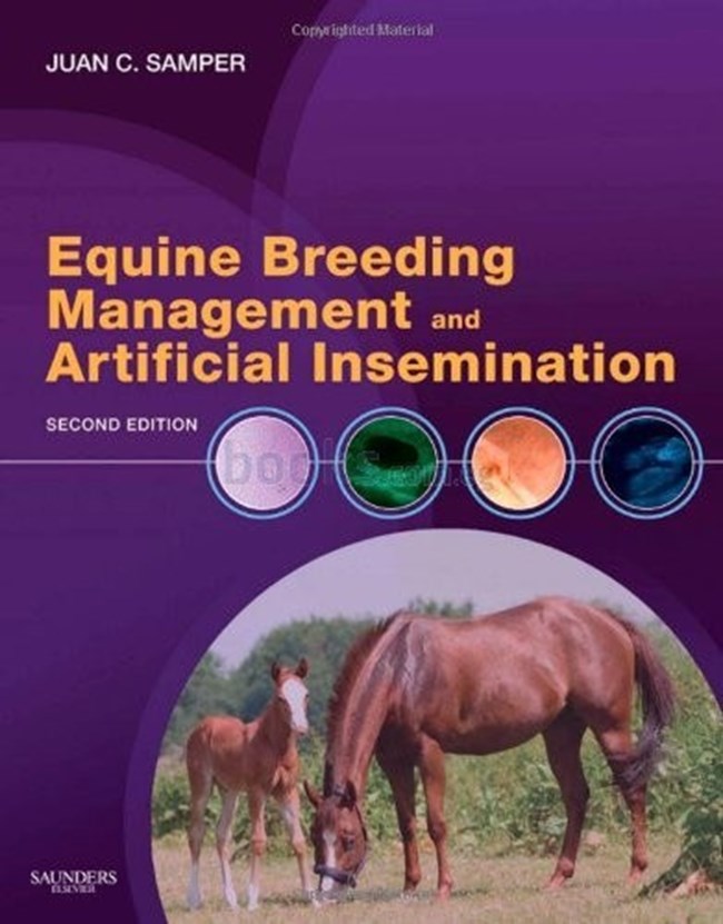 Equine Artificial Insemination.pdf