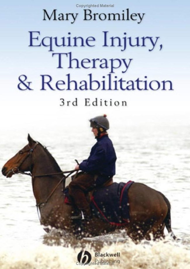 Equine Injury Therapy and Rehabilitation