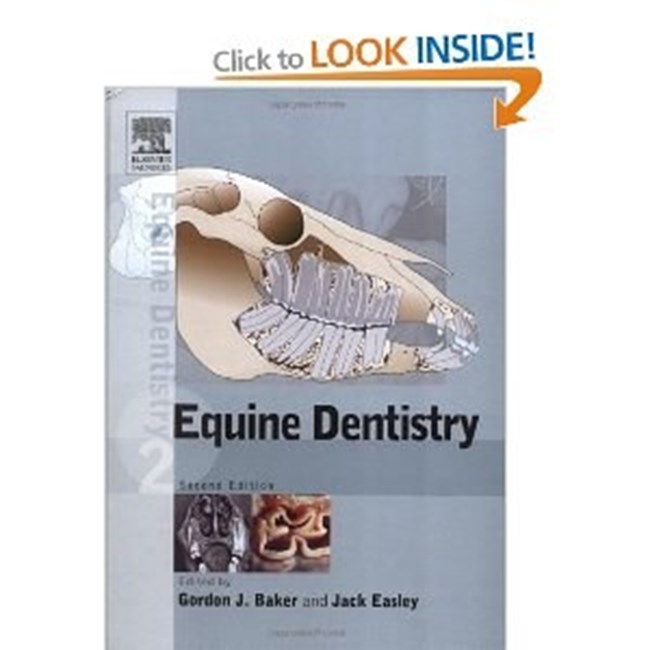 Equine Dentistry