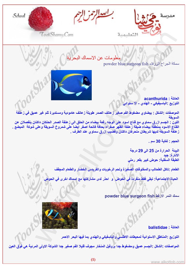 الأسماك البحرية.pdf