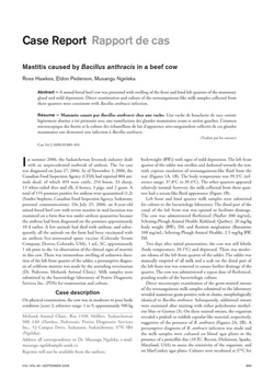 كتاب Mastitis caused by Bacillus anthracis in a beef cow pdf