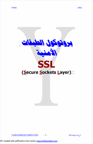 بروتوكول الطبقات الامنبة