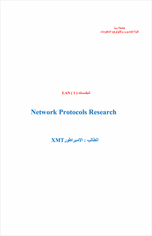 بروتكولات الشبكة
