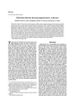 كتاب Infectious Bovine Keratoconjunctivitis pdf