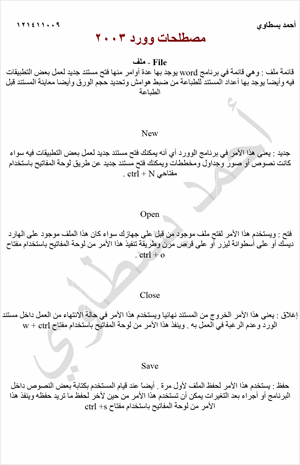 المصطلحات المستخدمة في وورد 2003