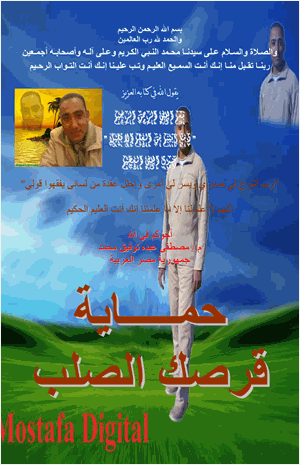 حماية قرصك الصلب