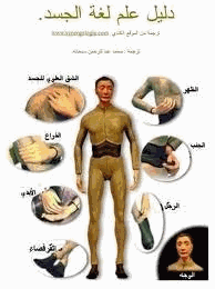 دليل علم لغة الجسد
