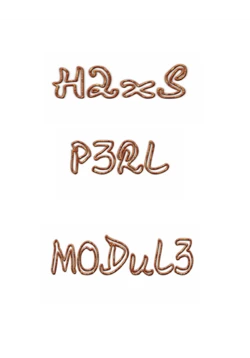كتاب دالة h2xs و مصحح الأخطاء في بيرل Perl pdf