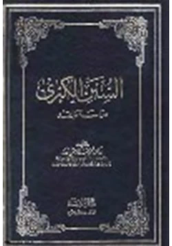 كتاب علوم الإسناد من السنن الكبرى دراسة ونقد