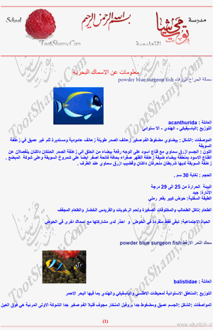 الأسماك البحرية