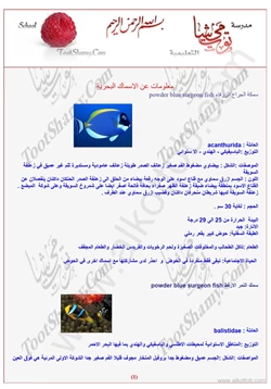 كتاب الأسماك البحرية pdf