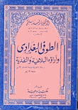 الطوفي البغداي وآراؤه البلاغية والنقدية