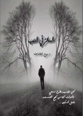 السائر في الدرب