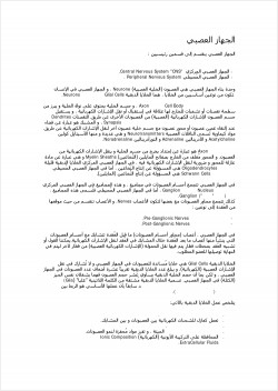 الجهاز العصبي