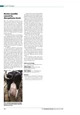 كتاب Bovine mastitis caused by Mycoplasma bovis