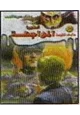 رواية أسطورة المواجهة ج3