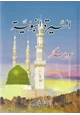 رواية السيرة