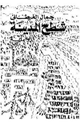 كتاب شطح المدينة
