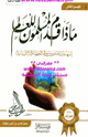 كتاب ماذا قدم المسلمون للعالم ج2