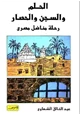 كتاب الحلم والسجن والحصار رحلة مناضل مصرى