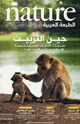 كتاب حين التربيت عصبونات التدليك تفسر سر شعورنا بالسعادة حينما يتم التربيت علينا